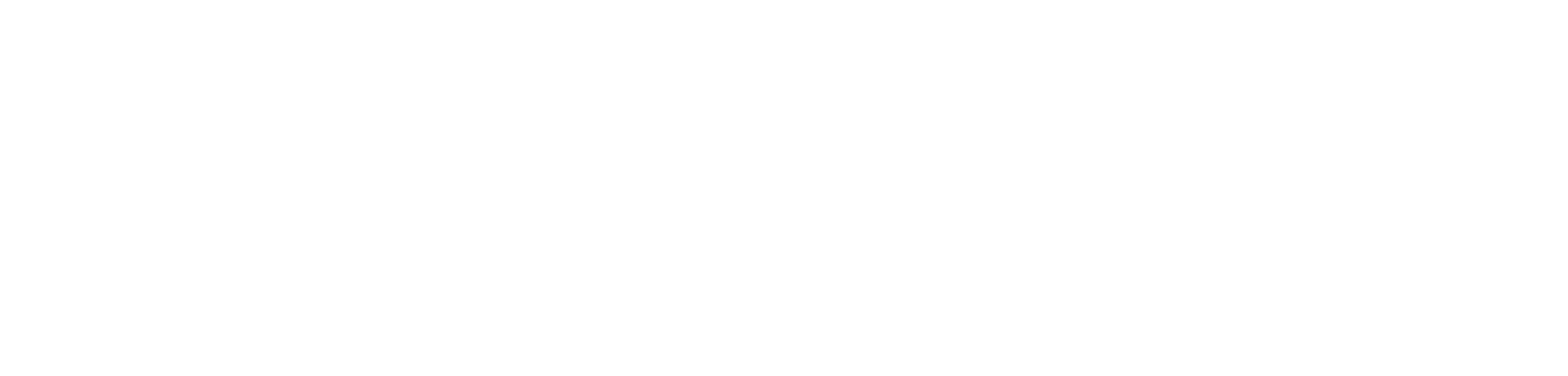 Logo ROBI-TRANS